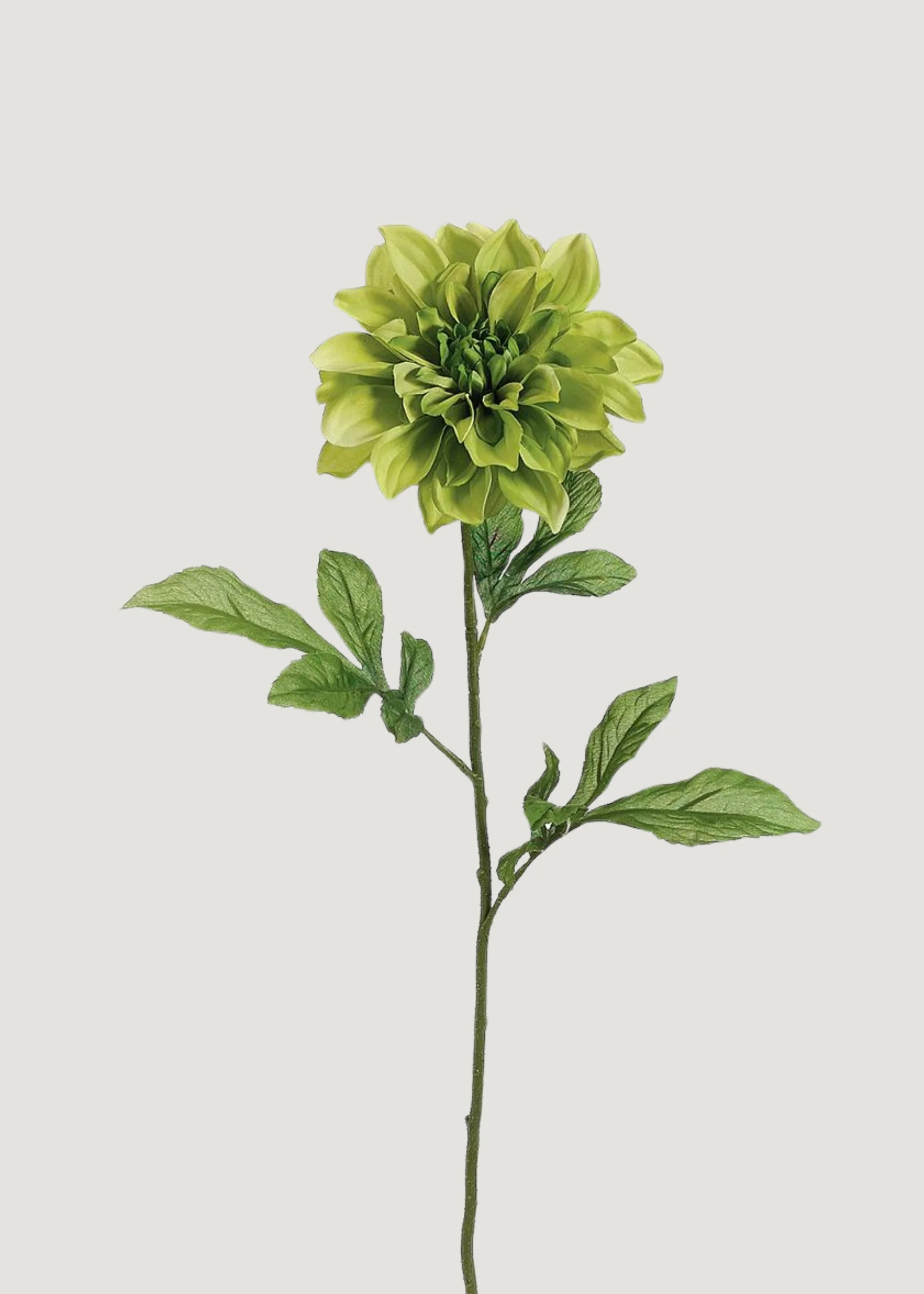 Artificial Dahlia Flower in Green - 29" | Afloral
