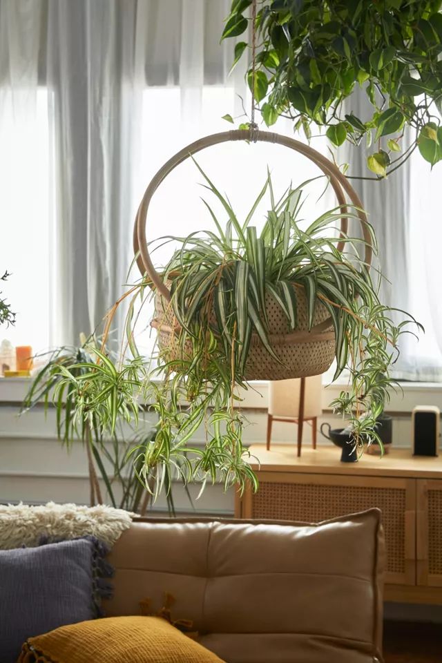 Margot 7" Hanging Planter | Urban Outfitters (US and RoW)