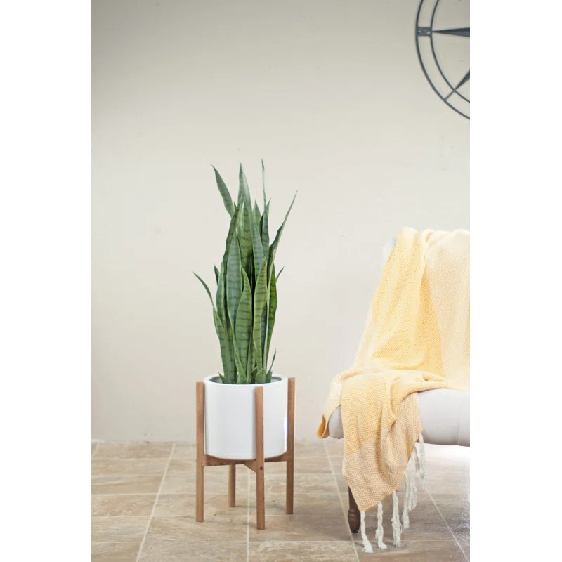 Harding Ceramic Pot Planter | Wayfair North America