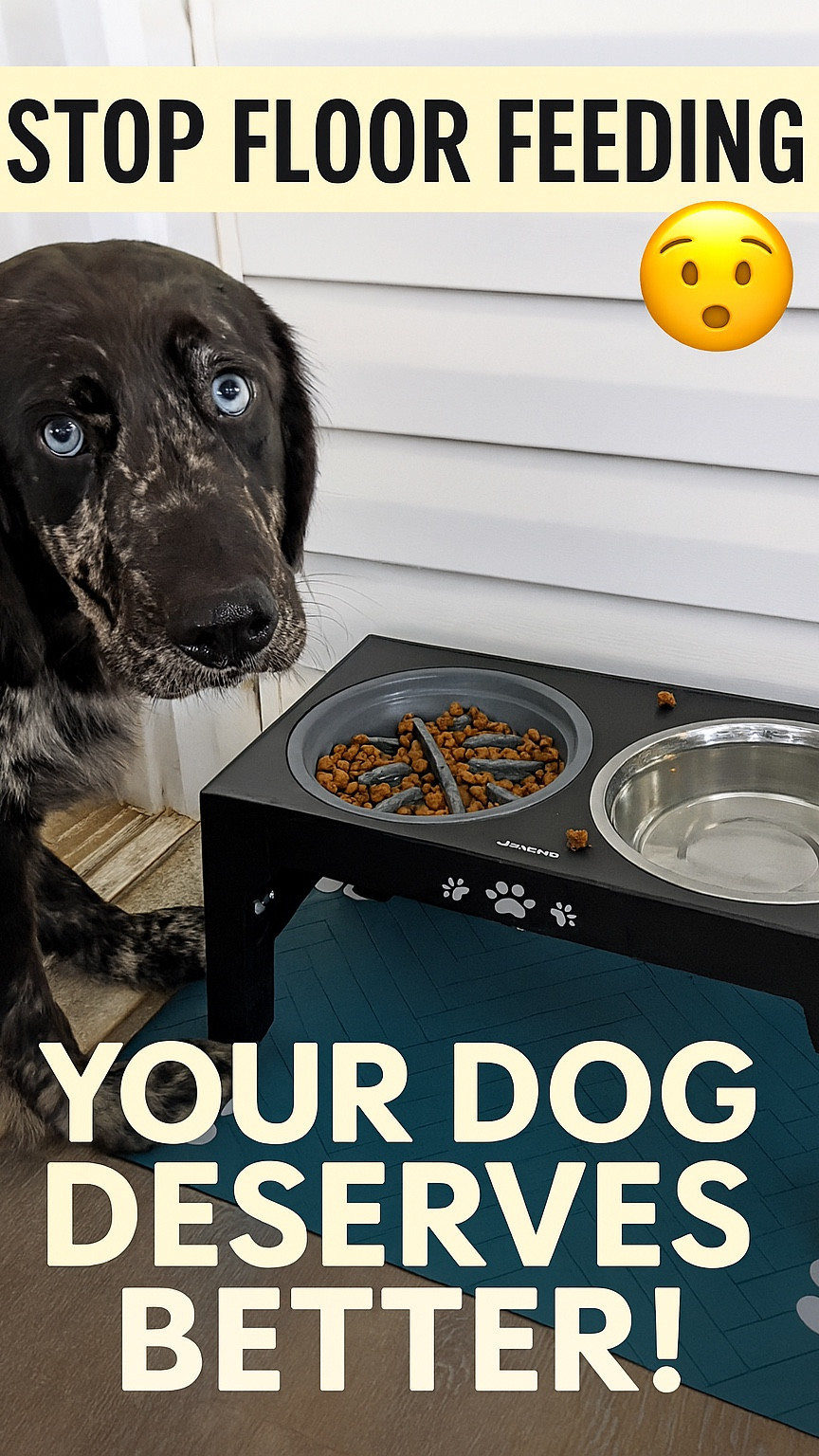 STOP Floor Feeding 😳 Your Dog Deserves Better!

Still feeding your dog like it’s the Stone Age? 😅 Give them the upgrade they deserve! The Jovrum Elevated Dog Bowl is adjustable, durable, vet-recommended, and totally paw-some. 
🐾 Cleaner floors, happier pups. 

Comment BOWL for link to shop now!

#DogMom #DogDad #PetTok #PupLife #DogLovers #PetEssentials #AmazonFinds #PetParents #DogBowl #FurBaby #PupComfort #ltkpet 


#LTKHome #LTKPets #LTKFamily