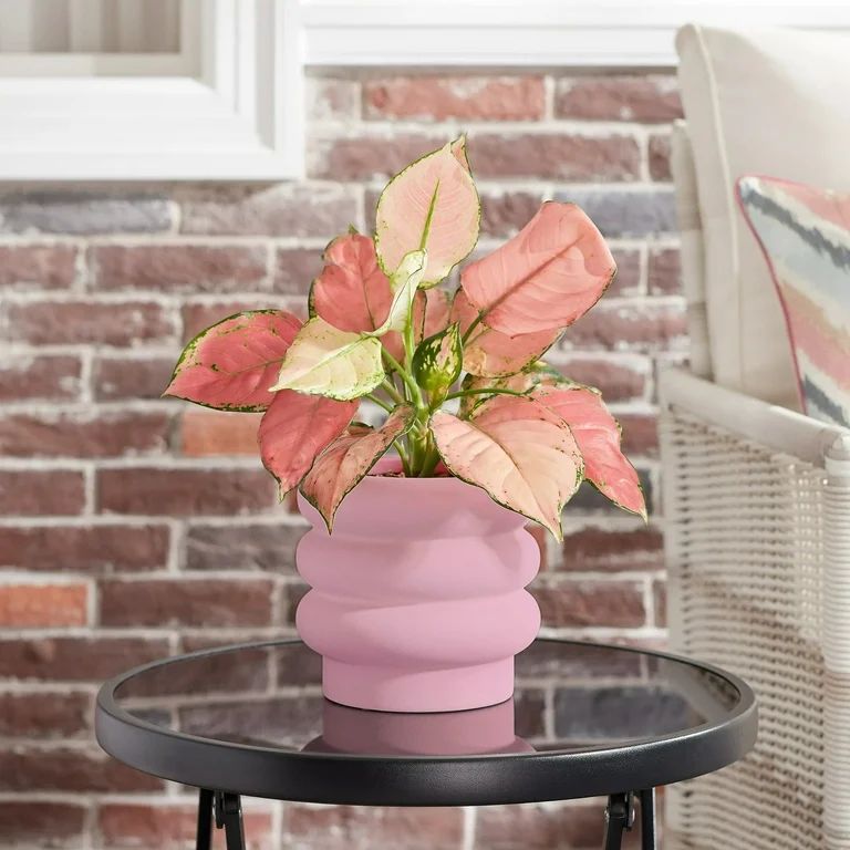 Better Homes & Gardens Pottery 6" Chinooke Ceramic Bubble Planter, Pink | Walmart (US)