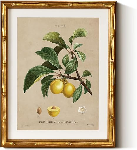 InSimSea Gold Bamboo Framed Canvas Wall Art, Retro Nature Plum Botanical Paintings, Antique Vinta... | Amazon (US)