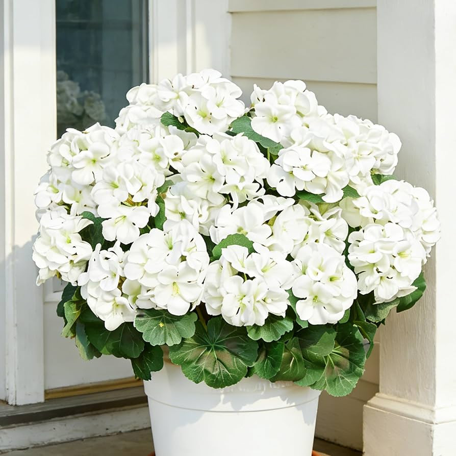 Geranium Artificial Flowers for Outdoors Spring UV Resistant Silk Geranium White Fake Flower Outd... | Amazon (US)