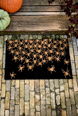 Spooky Spiders Coir Doormat | Anthropologie (US)