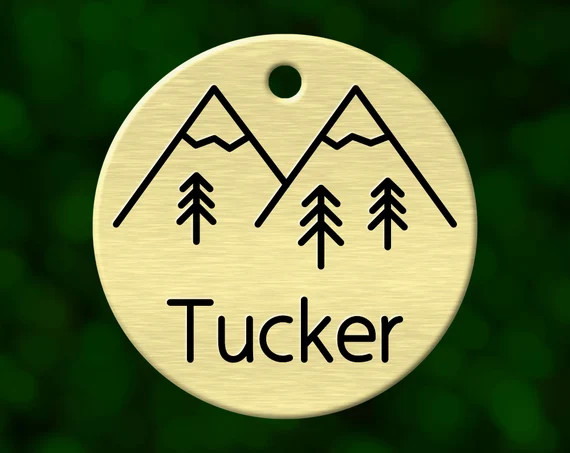 DEEPLY ENGRAVED Personalized Dog Name Tag for Dogs  | Etsy | Etsy (US)