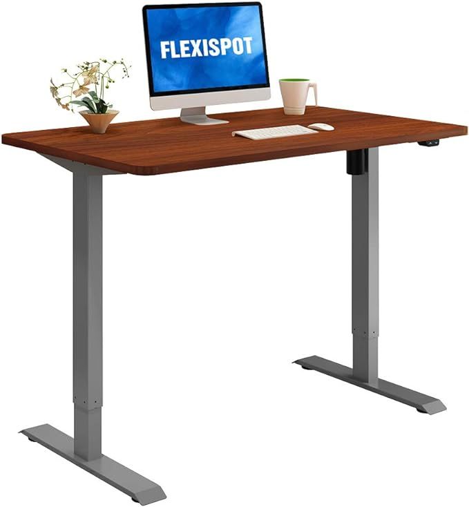 Flexispot Standing Desk, 48 x 24 Inches Height Adjustable Desk, Electric Sit Stand Desk Home Offi... | Amazon (US)