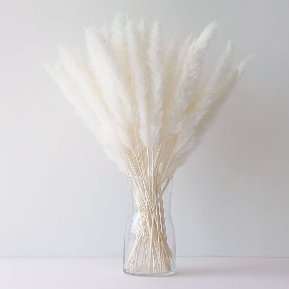 17 Inch White Small Pampas Grass, 60pcs Short Dried Pompas Grass Bunch for Vase Filler, Flower Bo... | Amazon (US)