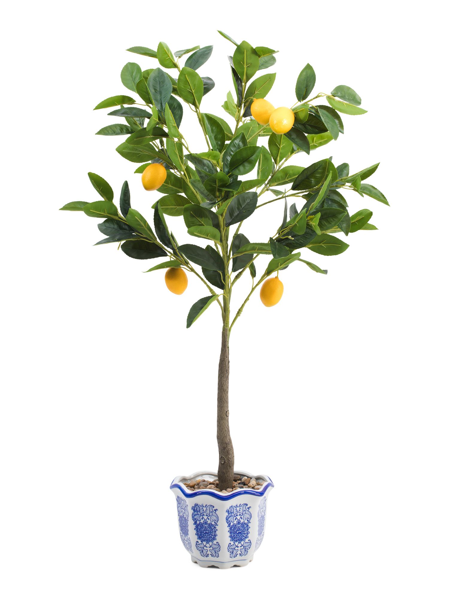 32in Lemon Tree | TJ Maxx