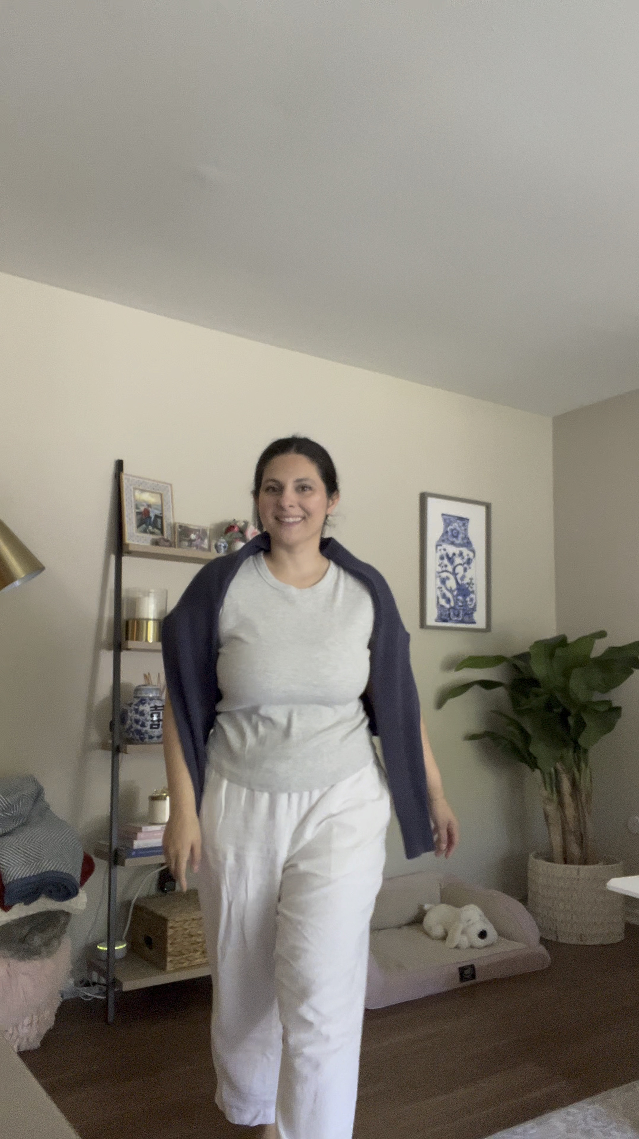 Summer outfit / old navy / linen pants / staple outfit / beach outfit / work from home outfit / flag sweater /

#LTKSeasonal #LTKStyleTip #LTKFindsUnder100