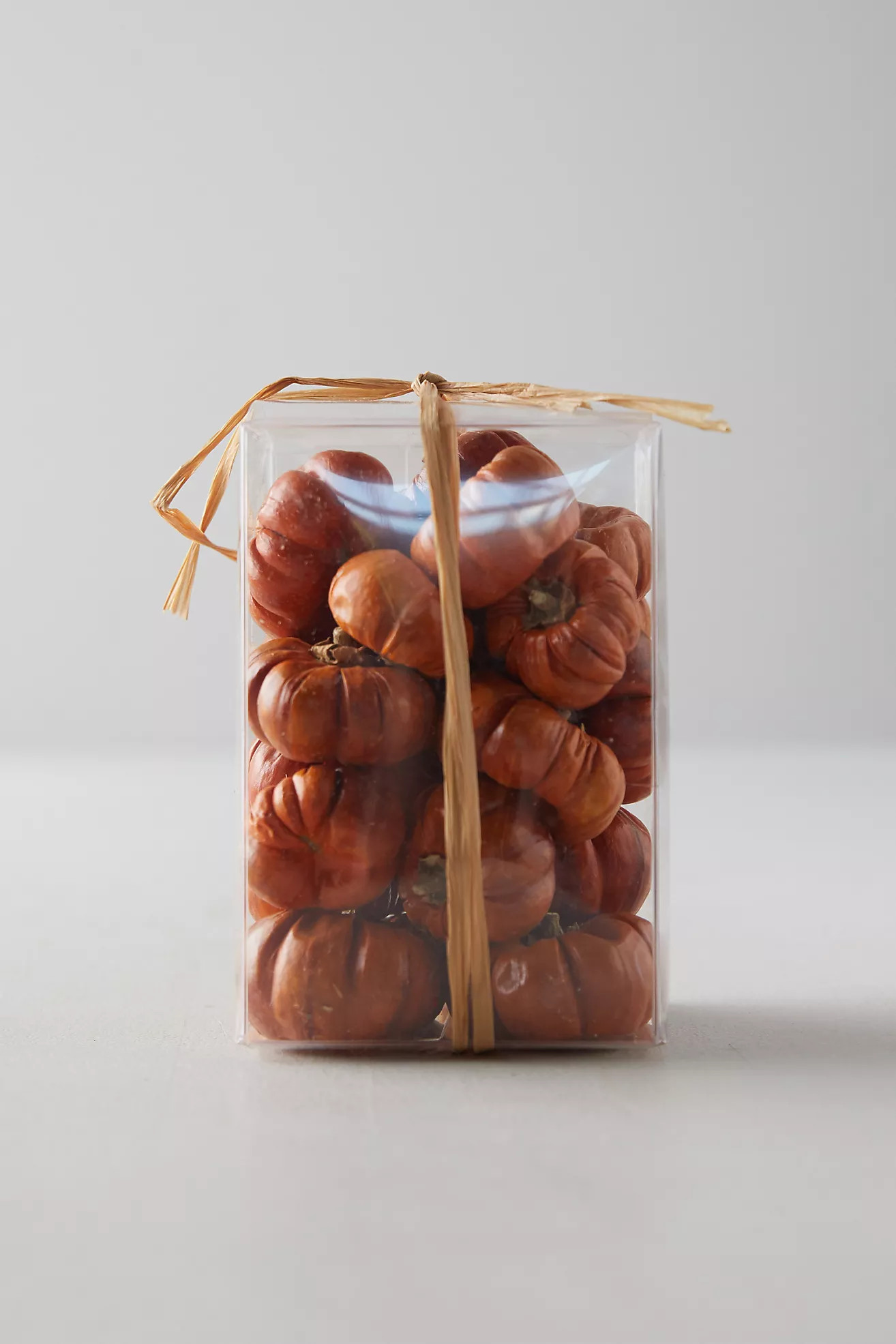 Preserved Pumpino Toppers | Terrain