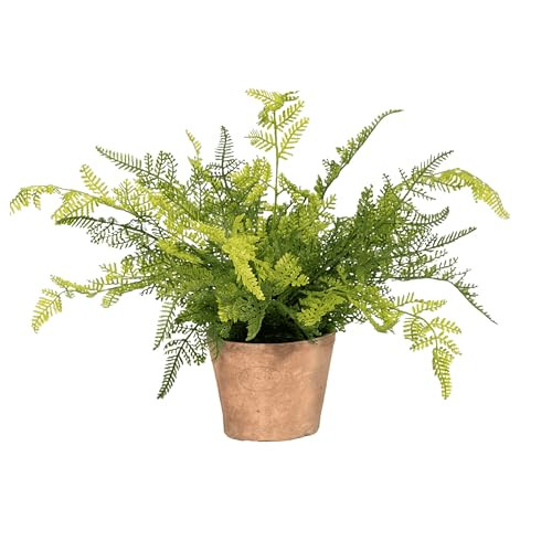 Blooming Artificial - Artificial Fern in Pot for the House, Forest Fern, Year-Round Decorative Foliage for the Home and Office, Charming and Colourful (Green) (27cm) | Amazon (UK)