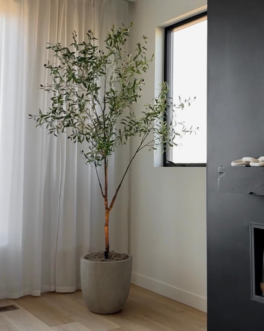 Amazon home finds that make a space feel instantly more elevated 🤍🌿 This faux olive tree + neutral planter combo adds the perfect organic touch without the maintenance. I love it for filling an empty corner and adding height, texture, and warmth while keeping everything clean and minimal. Linking the Amazon tree + decor!

#AmazonHome #AmazonHomeFinds #AmazonFinds #AmazonDecor #AmazonMustHaves #LTKHome #LTKFinds #LTKUnder100 #HomeDecor #HomeDecorInspo #NeutralHome #NeutralDecor #OrganicModern #OrganicModernDecor #ModernHome #MinimalistDecor #FauxOliveTree #ArtificialTree #OliveTreeDecor #LivingRoomDecor #LivingRoomInspo #CozyHome #InteriorInspo #AffordableHomeDecor

#LTKSaleAlert #LTKHome #LTKmomlife