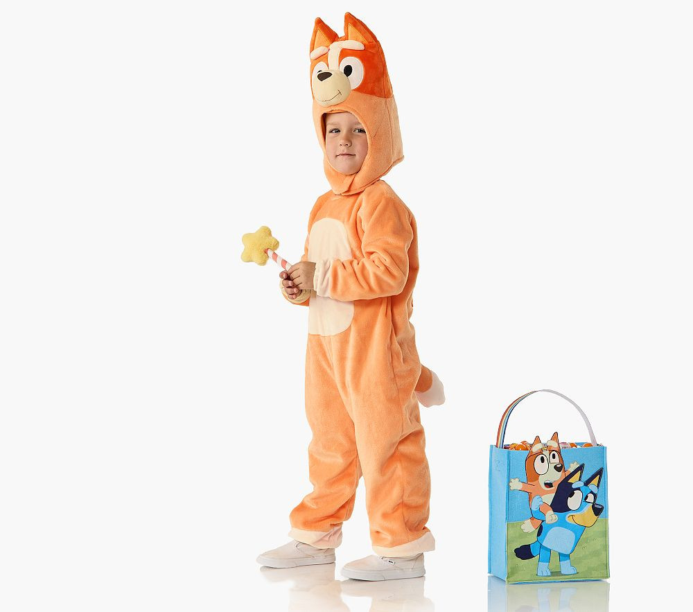 <i>Bluey</i> Bingo Costume | Pottery Barn Kids