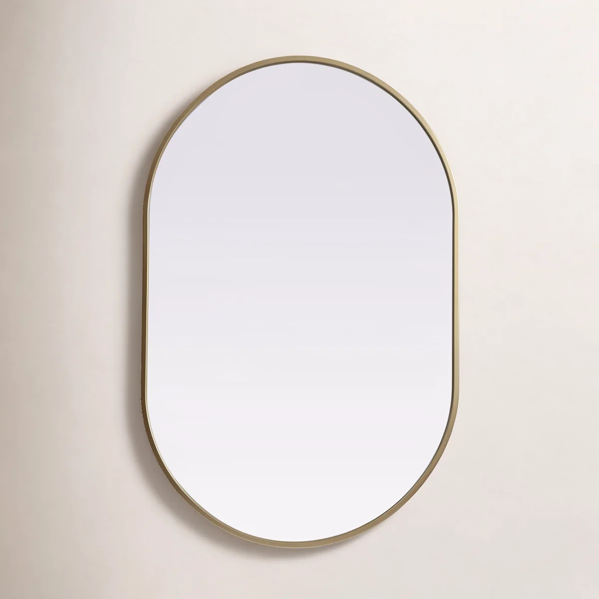 Sabine Metal Pill Wall Mirror | Wayfair North America