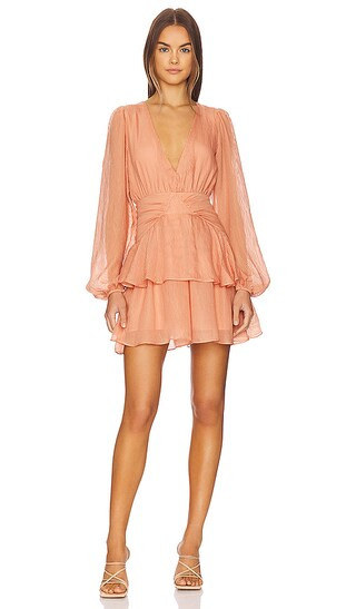 Tahlia Mini Dress in Terracotta | Revolve Clothing (Global)