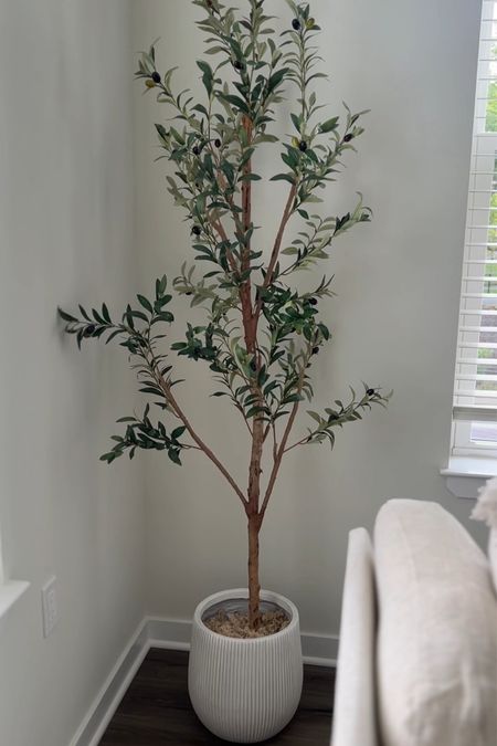 Amazon Faux Olive Tree

#LTKHome