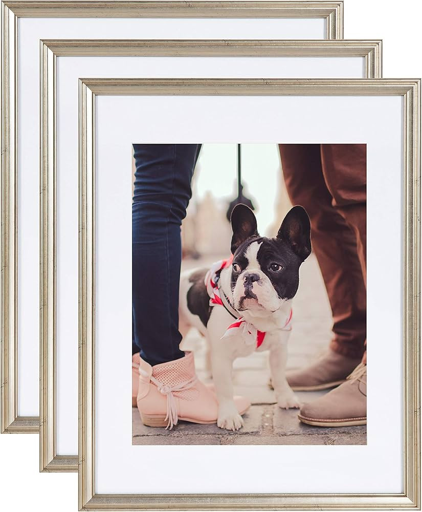 Kate and Laurel Adlynn Wall Picture Frame Set, 14" x 18" matted to 11" x 14", Warm Silver, Set of... | Amazon (US)