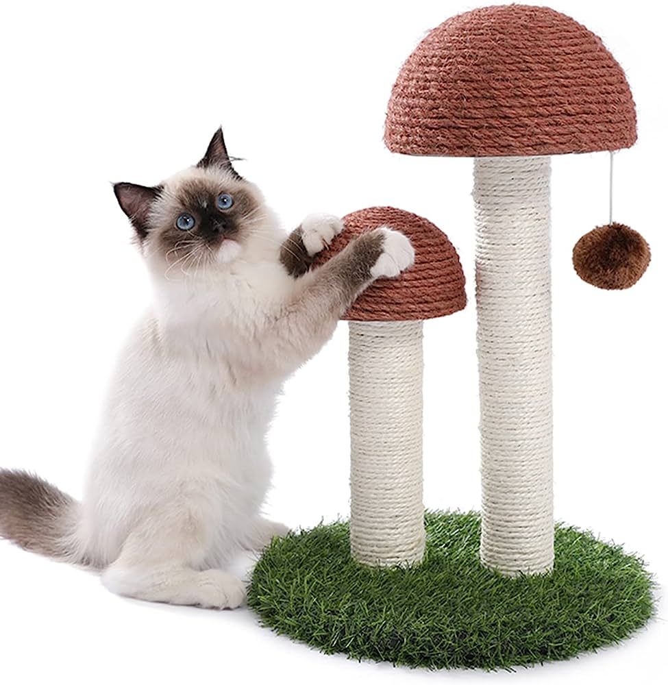 PETEPELA Cat Scratching Post, Mushroom Tall Cat Scratcher Featuring with Natural Sisal Scratching... | Amazon (US)