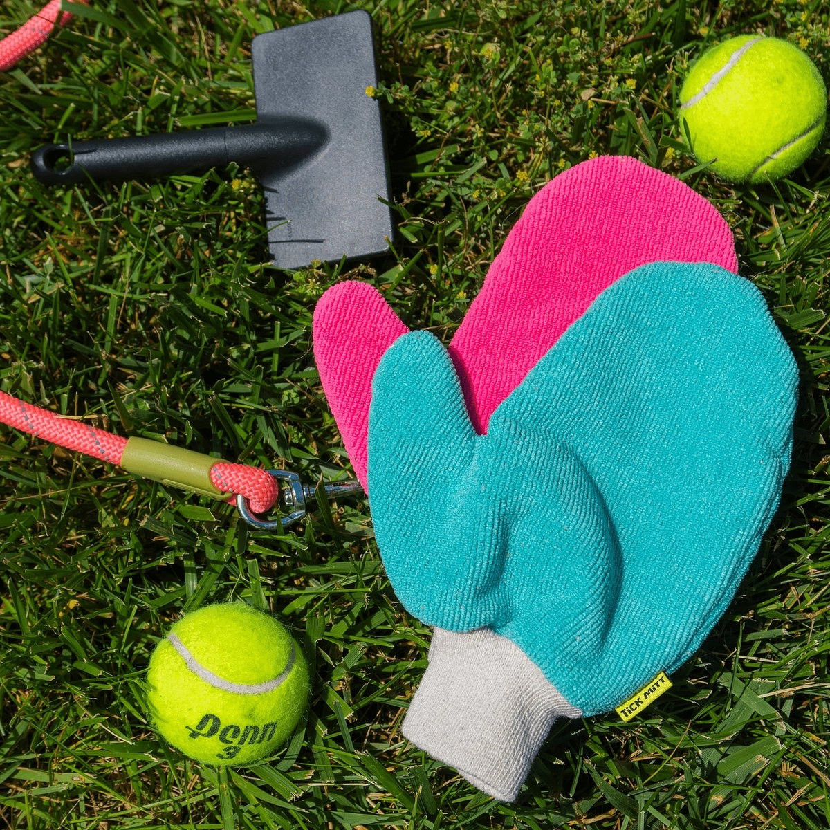 Ordering this for Finn as it is the time of year where I am one tick encounter away from a meltdown. 

#LTKFamily #LTKSeasonal #LTKPets