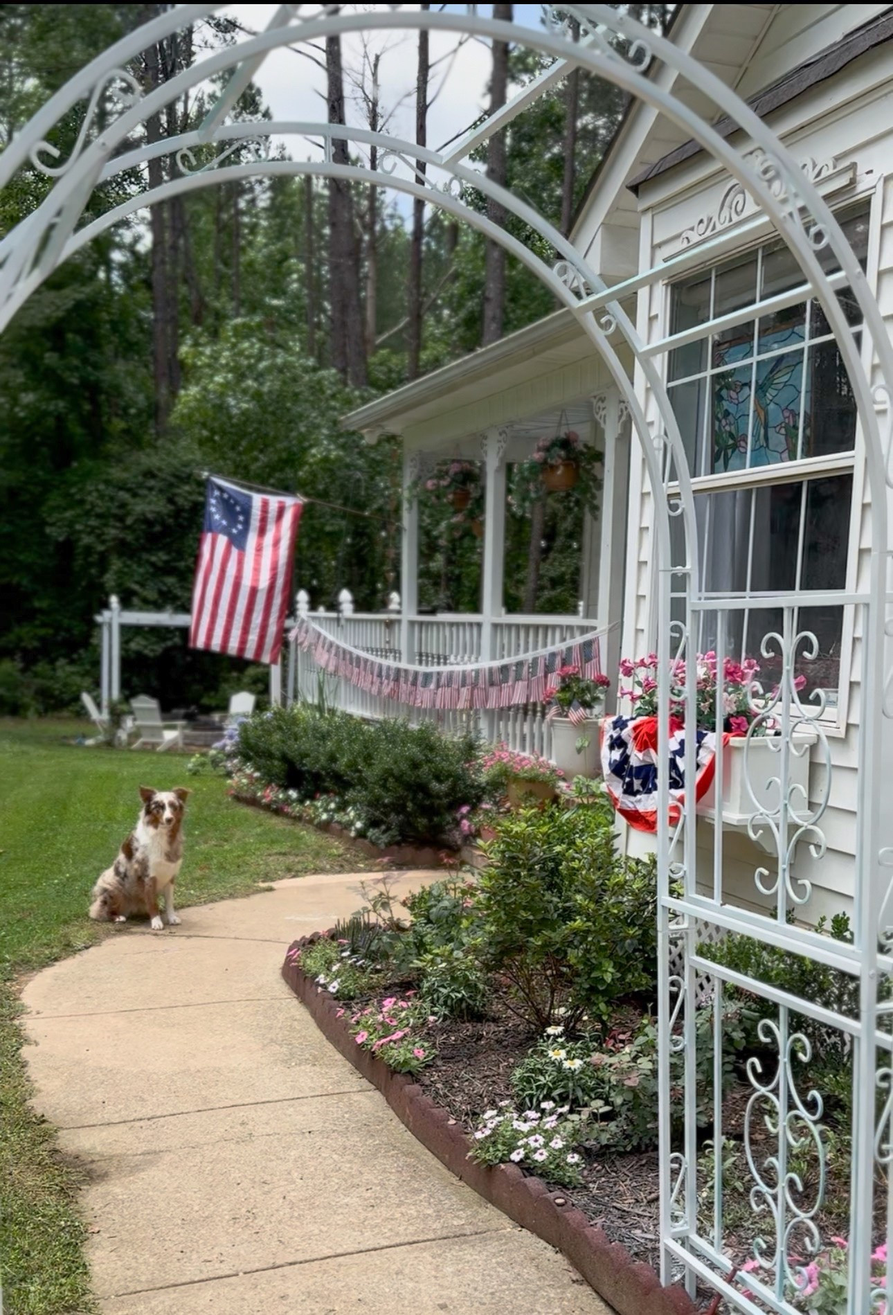 One year later, and this arbor from Plow & Hearth is still one of my favorite additions to our yard. 🤍🌸

A lot can change in a garden over the course of a year, but this arbor is just as beautiful as the day we installed it. It creates such a lovely focal point, adds so much cottage charm, and makes the whole garden feel a little more special.

Some decor pieces come and go, but this is one of those additions that truly transformed the space and continues to bring me joy every day. ✨

#PlowAndHearth #CottageGarden #GardenInspiration

#LTKHome #LTKSeasonal #LTKdayinmylife