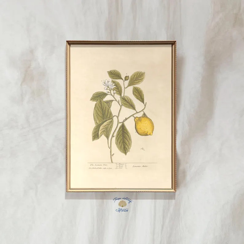 Lemon Botanical Print, Vintage Citrus Fruit Print, Warm Vintage Wall Art, Lemon Still Life Painti... | Etsy (US)