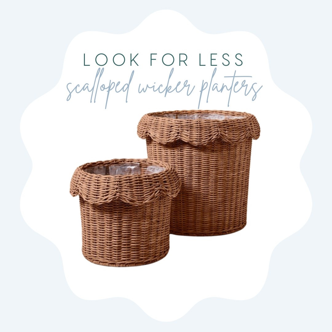 Scalloped rattan planters in two sizes! Get your patio spring-ready and fill these with hydrangeas! 

Target, target home, planters, spring, flowers, patio 

#LTKFindsUnder50 #LTKSeasonal #LTKHome