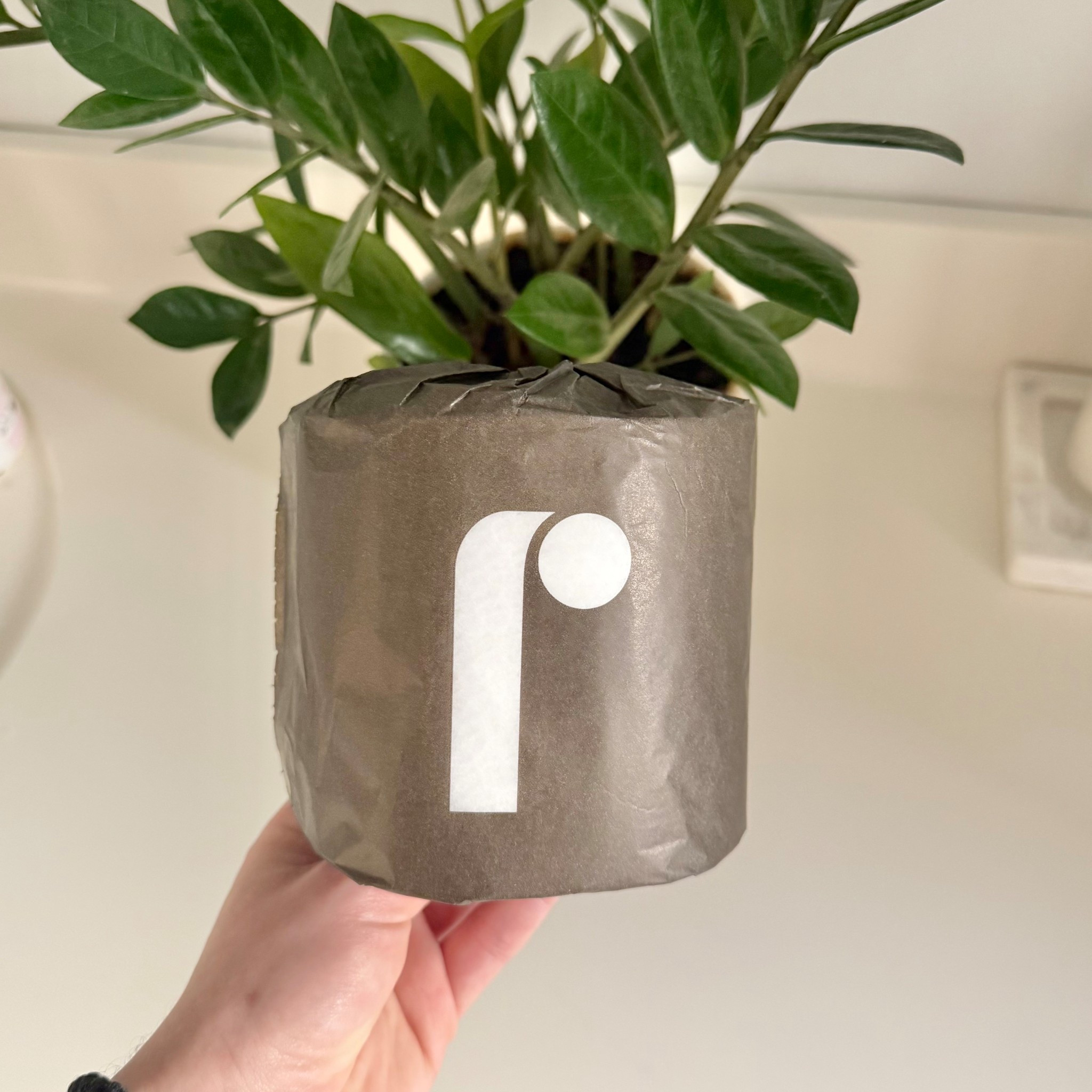 
@reelpaper 
Bamboo Toilet Paper
Available in 12, 24, & 48 count
Free shipping on all orders

I’ve tried a TON of different bamboo toilet paper brands. This is hands down my favorite

#LTKHome