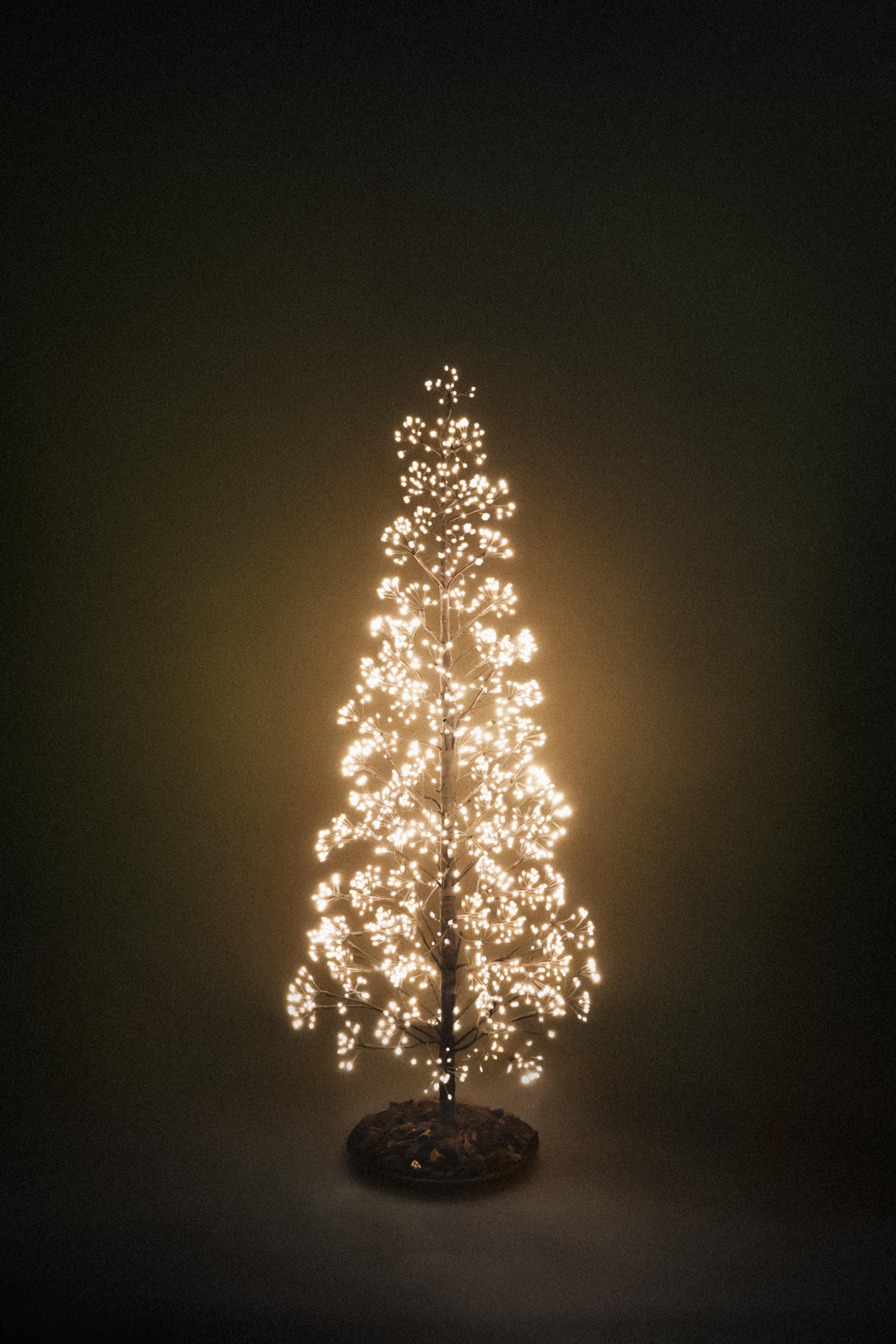 LED LIGHT CHRISTMAS TREE (59.1") | Zara US