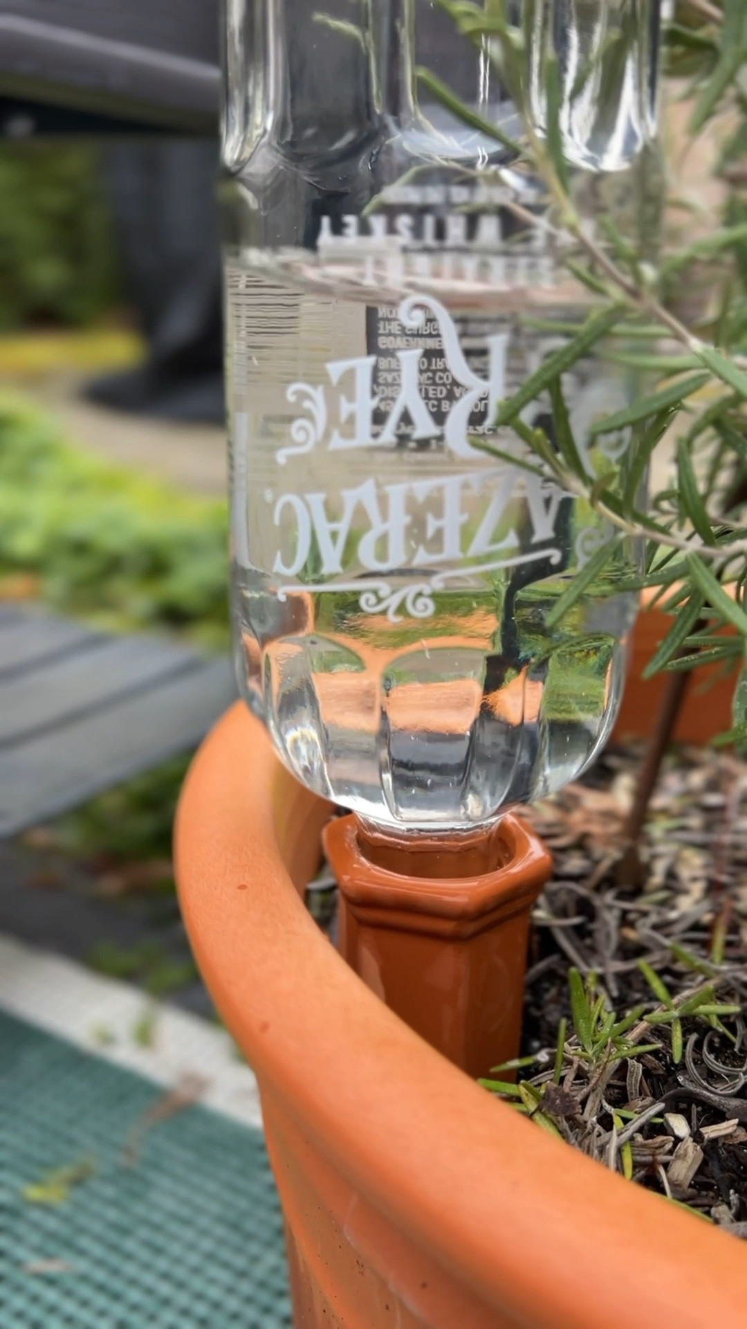 These watering spikes are a great way to water your plants while you’re away!! 

#LTKSeasonal #LTKWatchNow #LTKHome