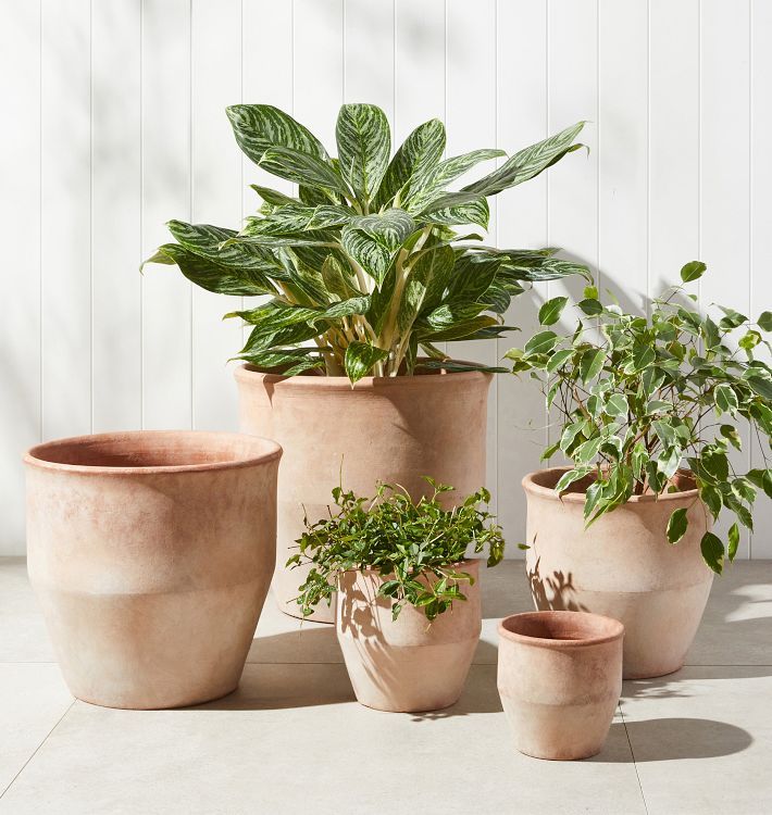 Antique Terracotta Planter | Rejuvenation