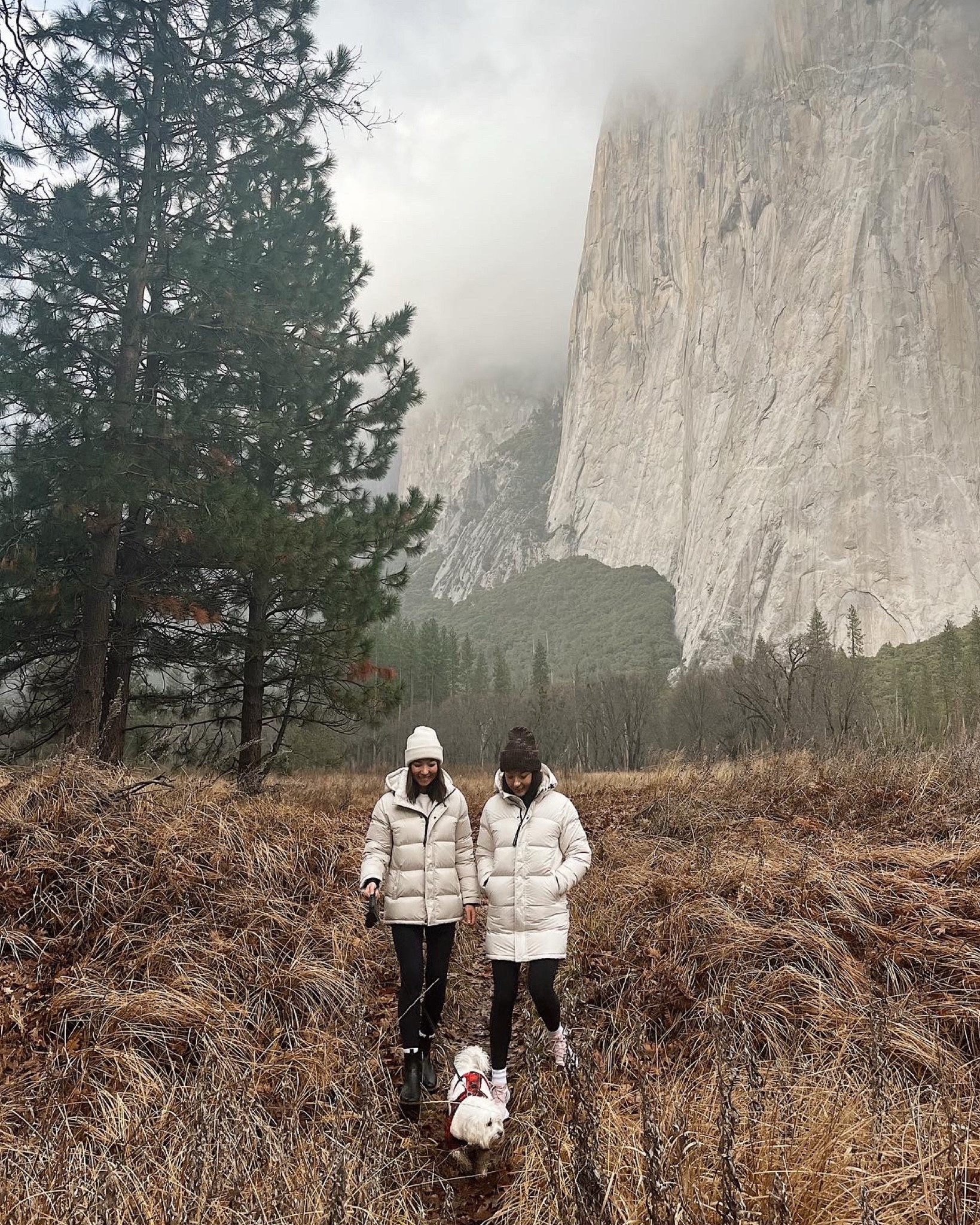 Winter outfit : 

Aritzia super puff:
Left is original in halation gray -old color, identical to matte pearl xs 
Right is mid length, matte pearl xs 
Leggings
Waterproof boots 
Varley socks/beanie

#LTKSeasonal #LTKStyleTip