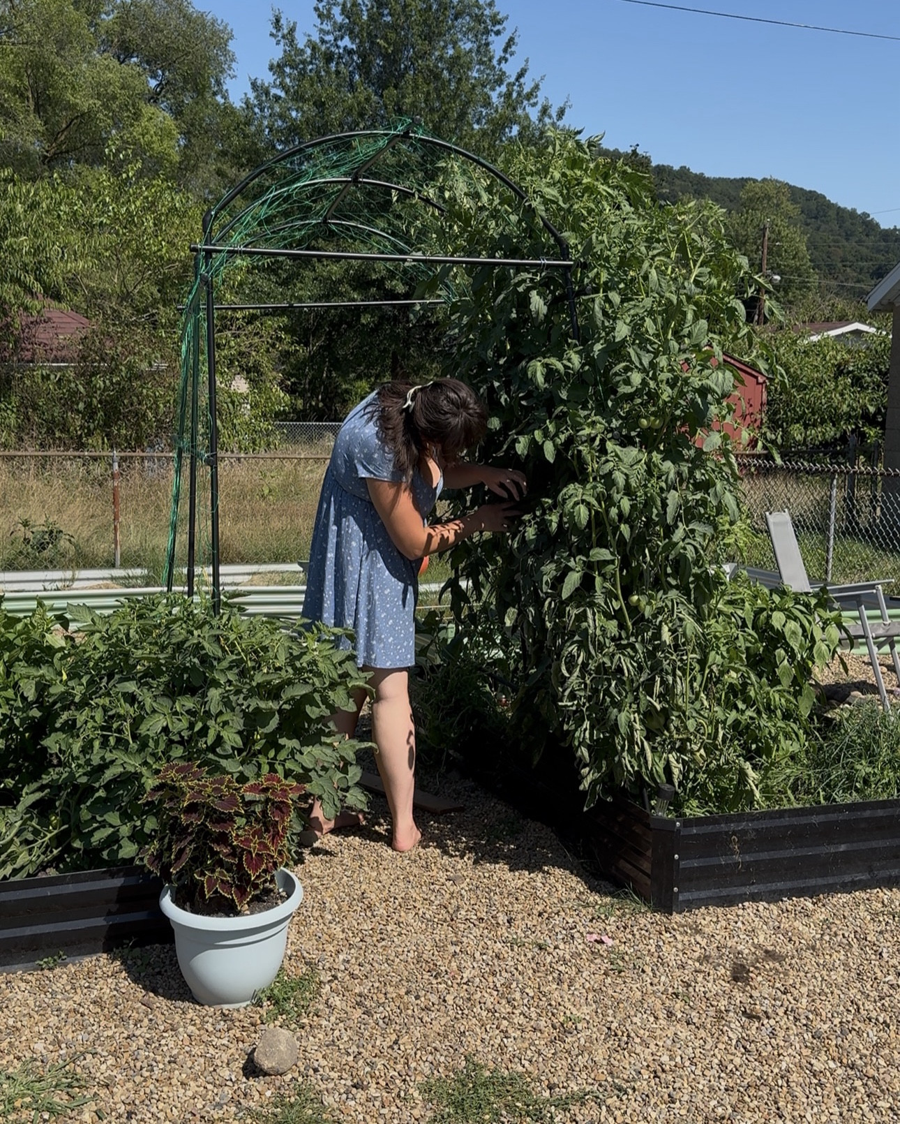 #LTKSeasonal #LTKMidsize #LTKFindsUnder50