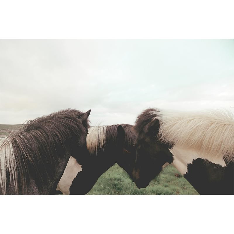 HUDDLE | Juniper Print Shop