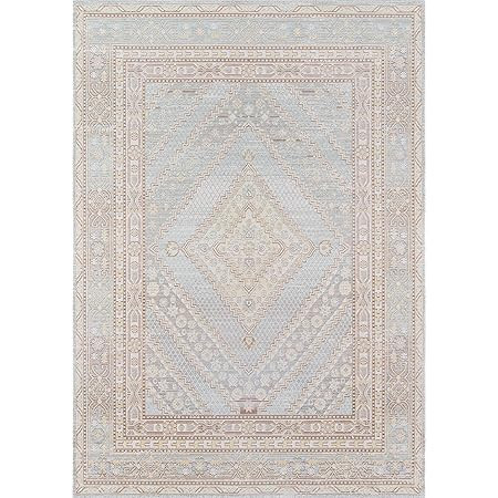 Amazon.com: Momeni Rugs Isabella Traditional Medallion Flat Weave Area Rug, 7'10" X 10'6", Blue :... | Amazon (US)
