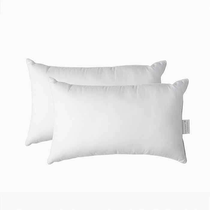 LANE LINEN 12x20 Pack of 2, White, Fluffy Inserts for Throw Pillow Covers | Amazon (US)