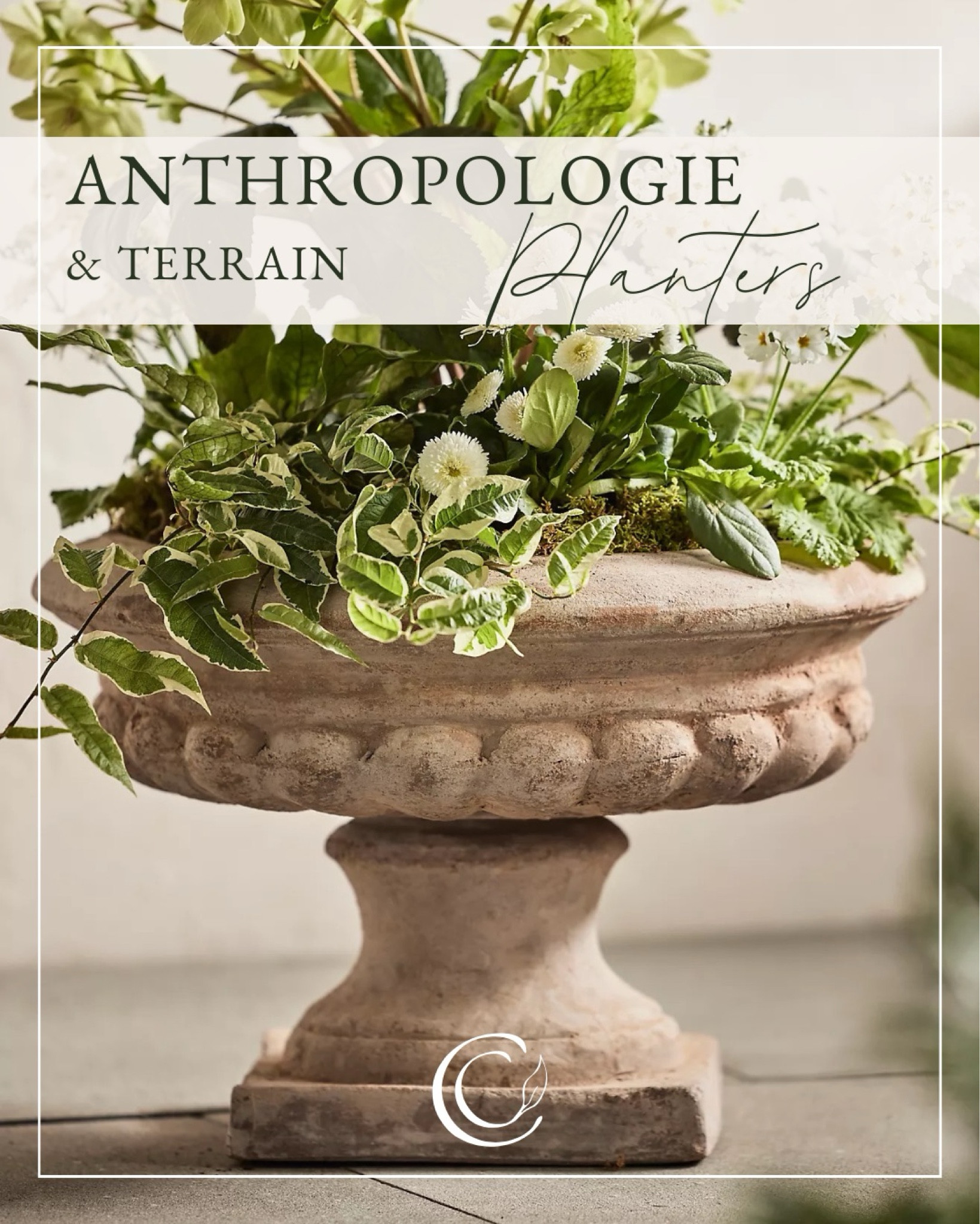 Classic tabletop urn for houseplants and dish gardens!

#LTKSeasonal #LTKhome #LTKSpringSale