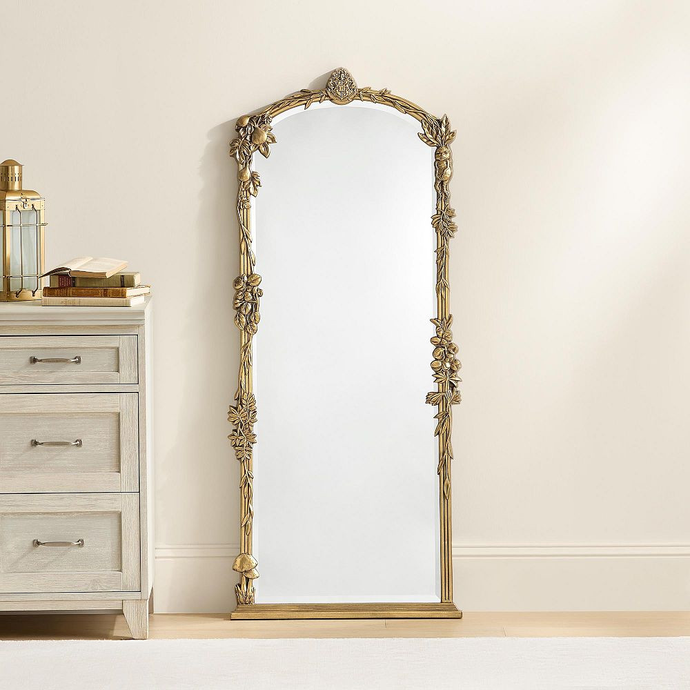 Harry Potter™ Herbology Full-Length Mirror (24"x57") | Pottery Barn Teen