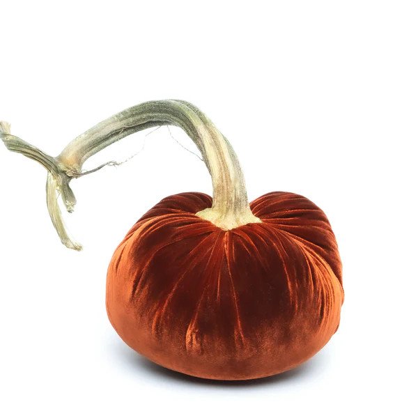 Fire Silk Velvet Pumpkin | Hot Skwash