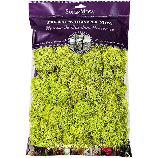 Super Moss 21669 8 Oz Preserved Reindeer Moss - Charteruse Green | Walmart (US)