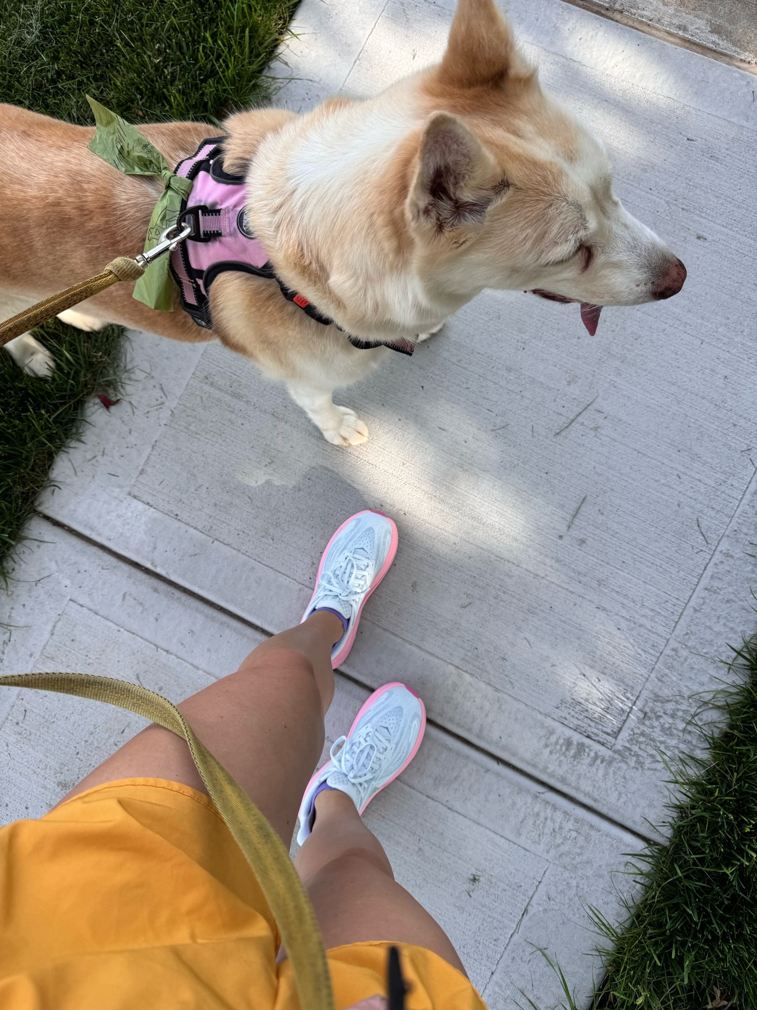 New running shoes

#LTKfitnessgoals #LTKdayinmylife #LTKmorningroutine