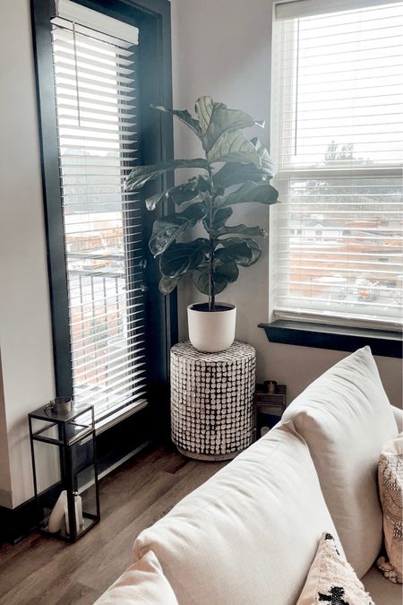 Full size self-watering live plants. Apartment therapy. Apartment decor ideas  

#LTKstyletip #LTKFind #LTKhome
