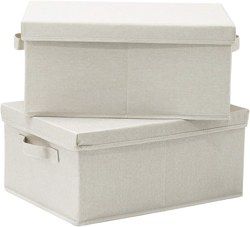 HOONEX Foldable Storage Bins with Lids, 2 Pack, Storage Boxes with Carrying Handles and Sturdy He... | Amazon (US)