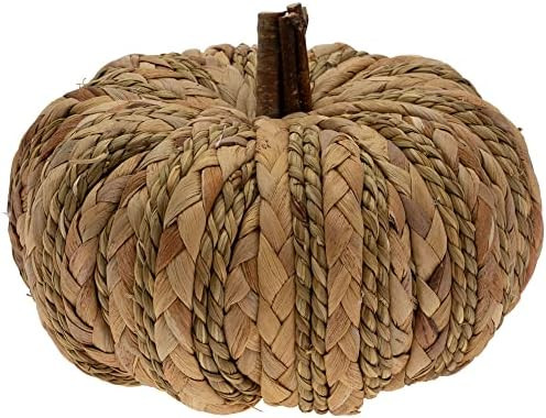 Boston International Pumpkin Décor Autumn & Fall Decorations, Medium, Woven Wicker | Amazon (US)