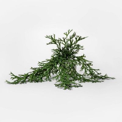 18" x 5.5" Artificial Potted Trailing Fern Green - Threshold&#153; | Target