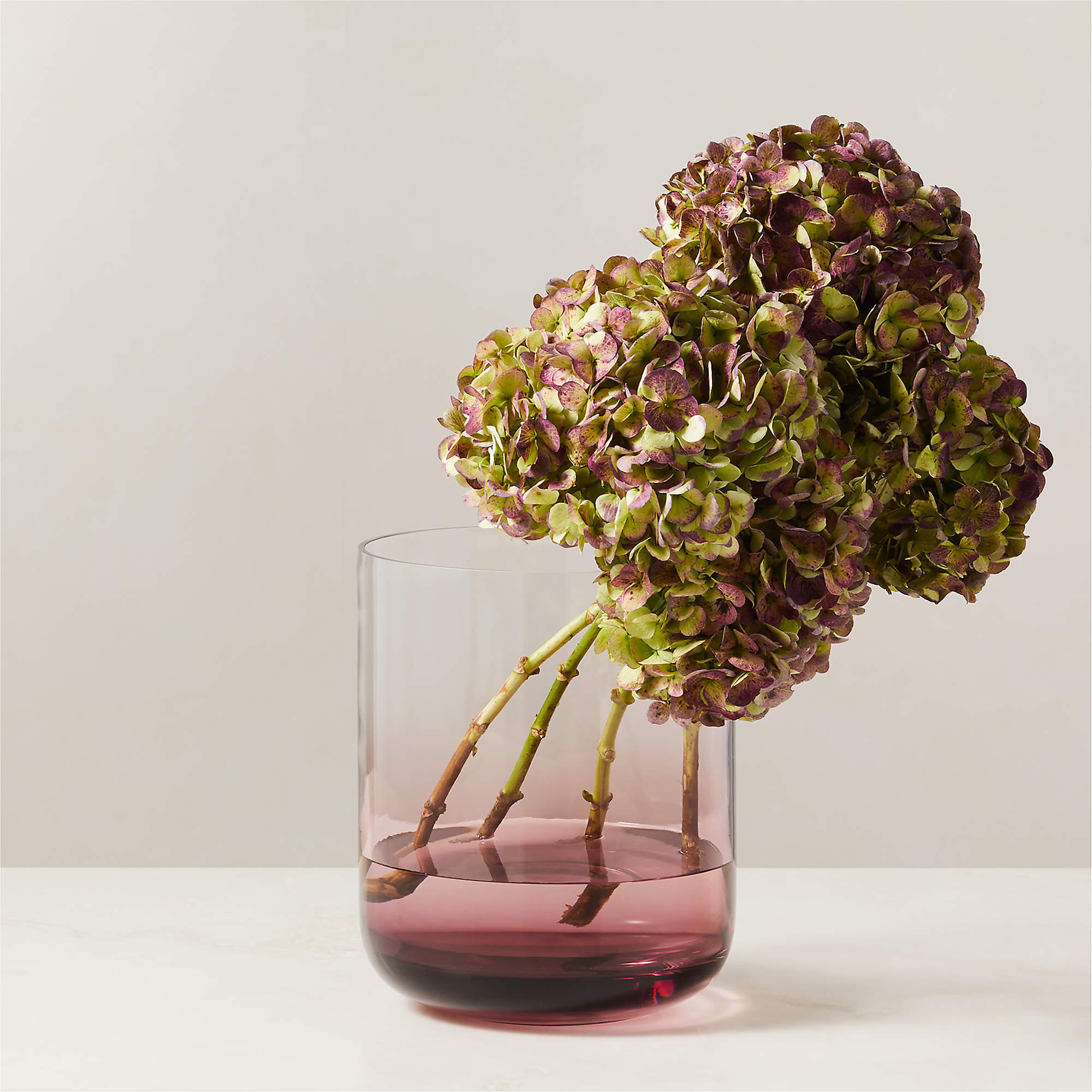 Regine Aubergine Purple Tall Glass Vase by goop + Reviews | CB2 | CB2
