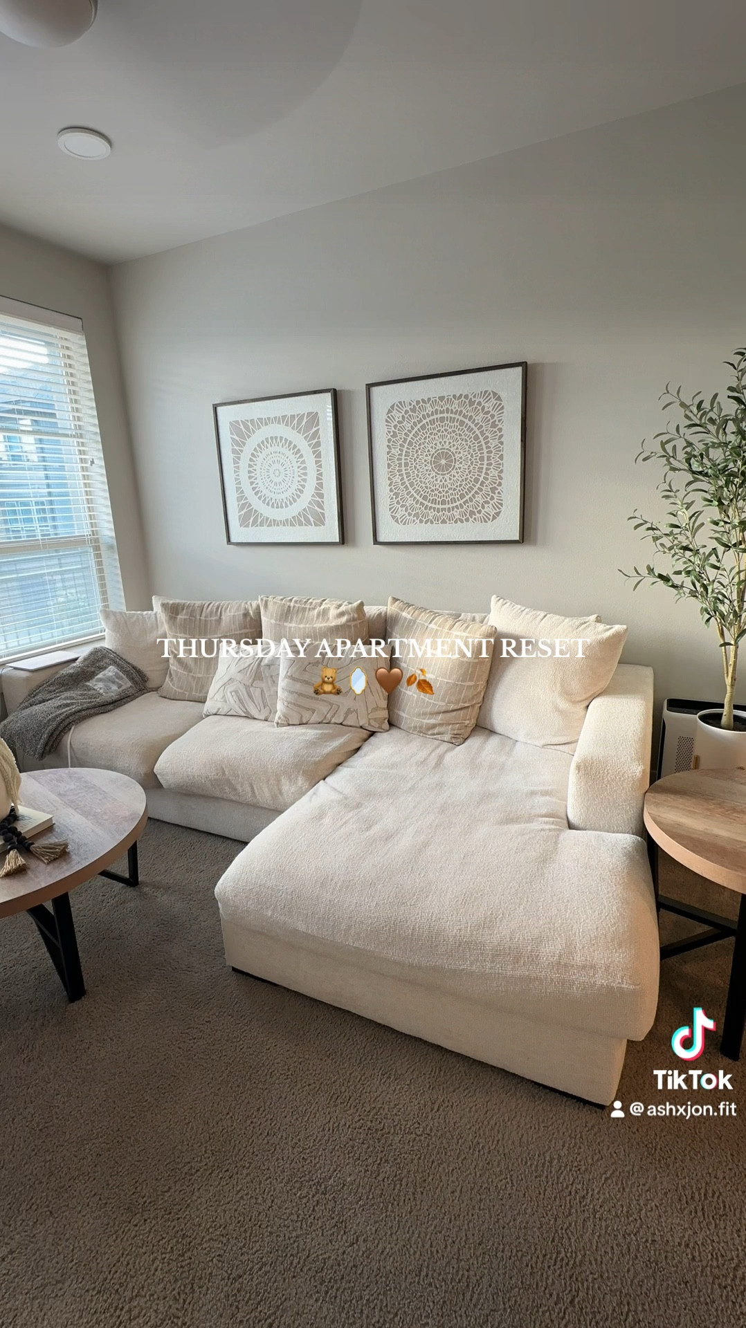Thursday Apartment Reset!! Linked home decor below🧸🪞🤎🍂

#LTKSeasonal #LTKHome #LTKFallSale