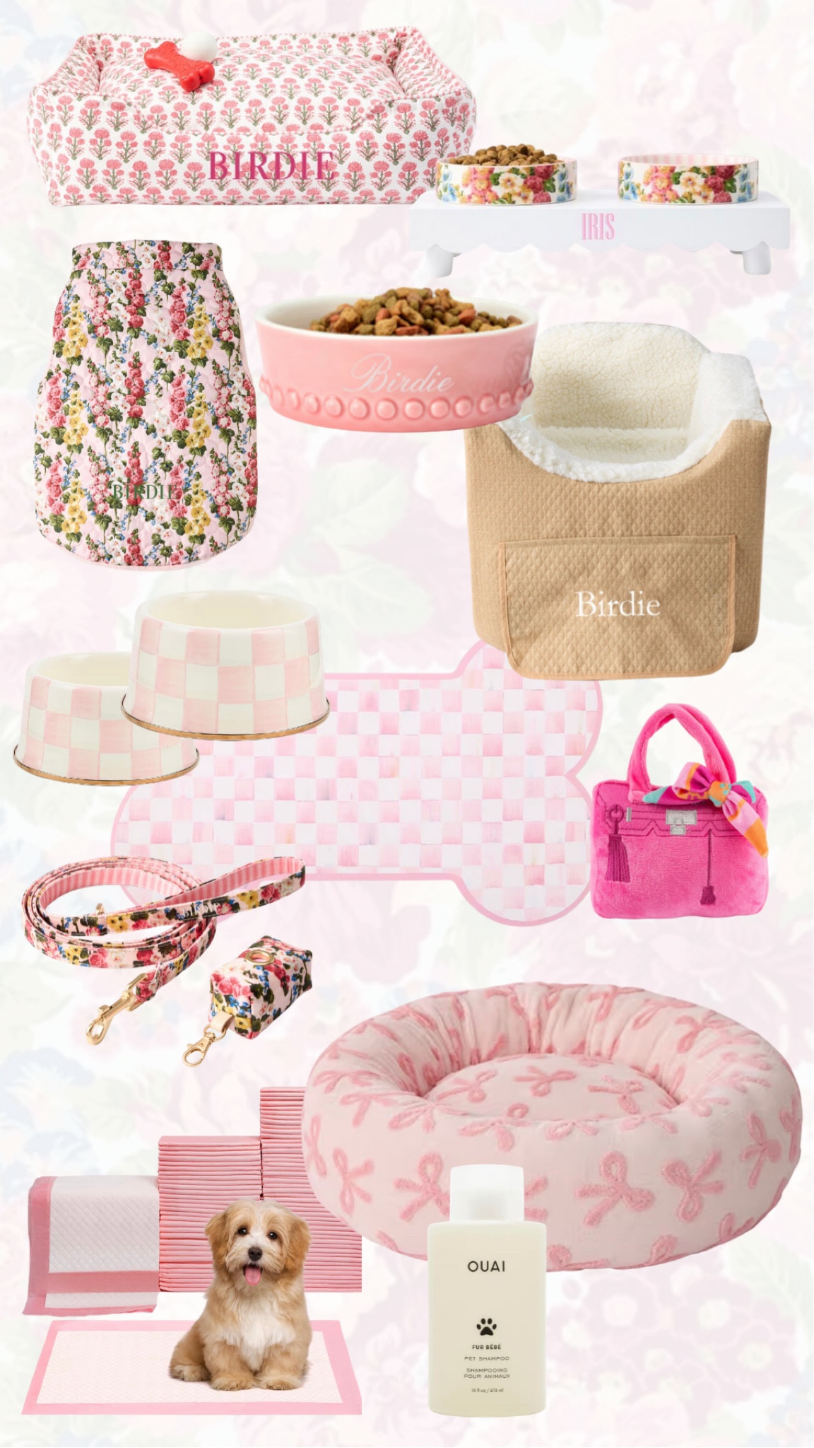 The cutest little goodies I’ve found for Miss Birdie 🐾 