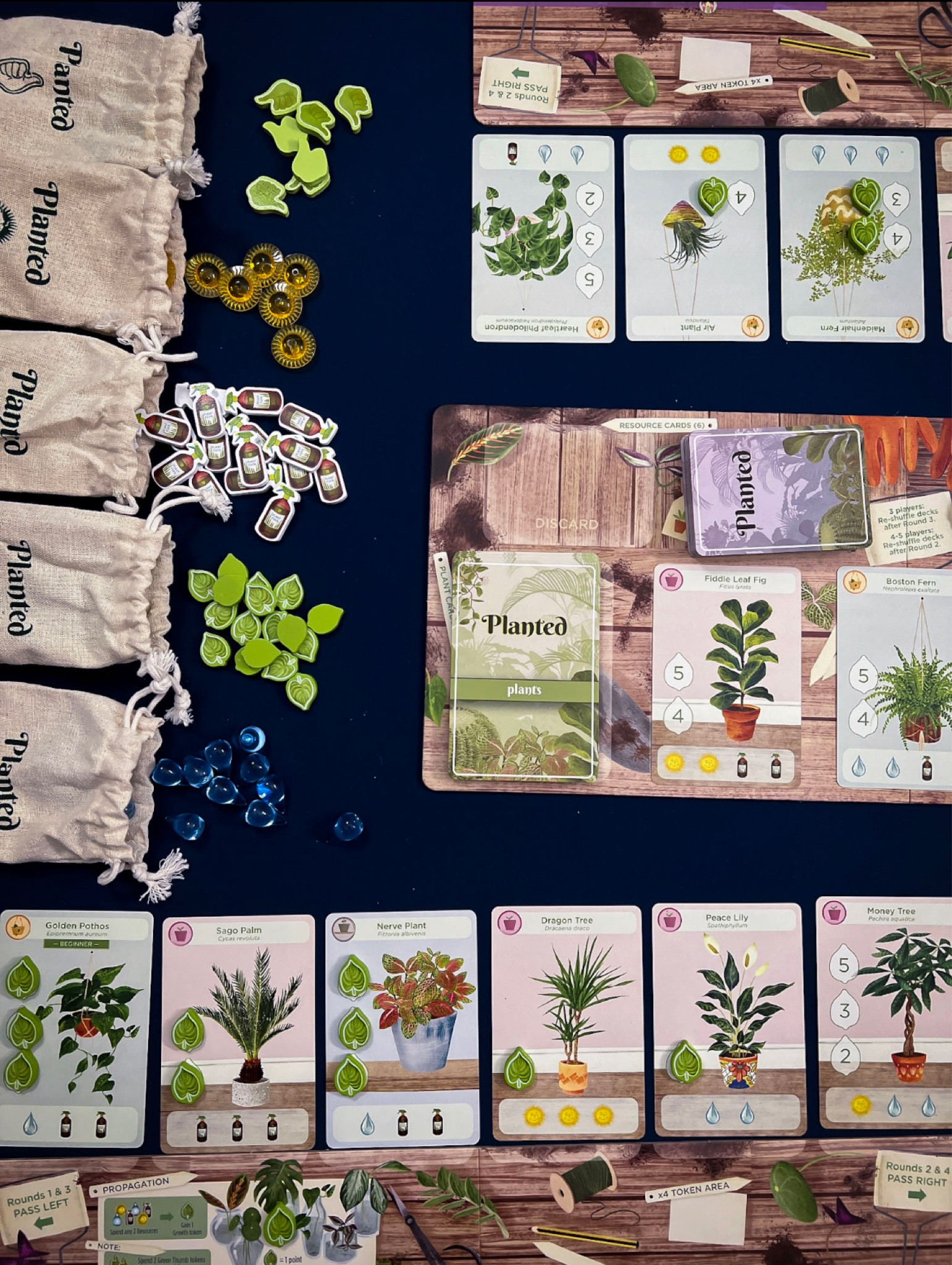 Cozy, relaxing board game for the family. Draft houseplants to feed and nurture them to win. 

#LTKunder50 #LTKfamily