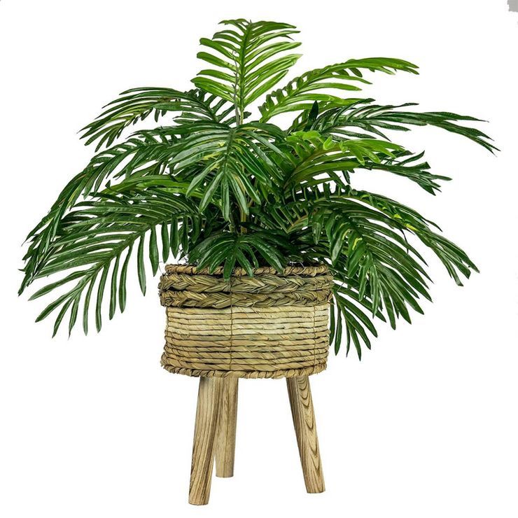 32" x 24" Artificial Palm Plant in Basket Stand - LCG Florals | Target