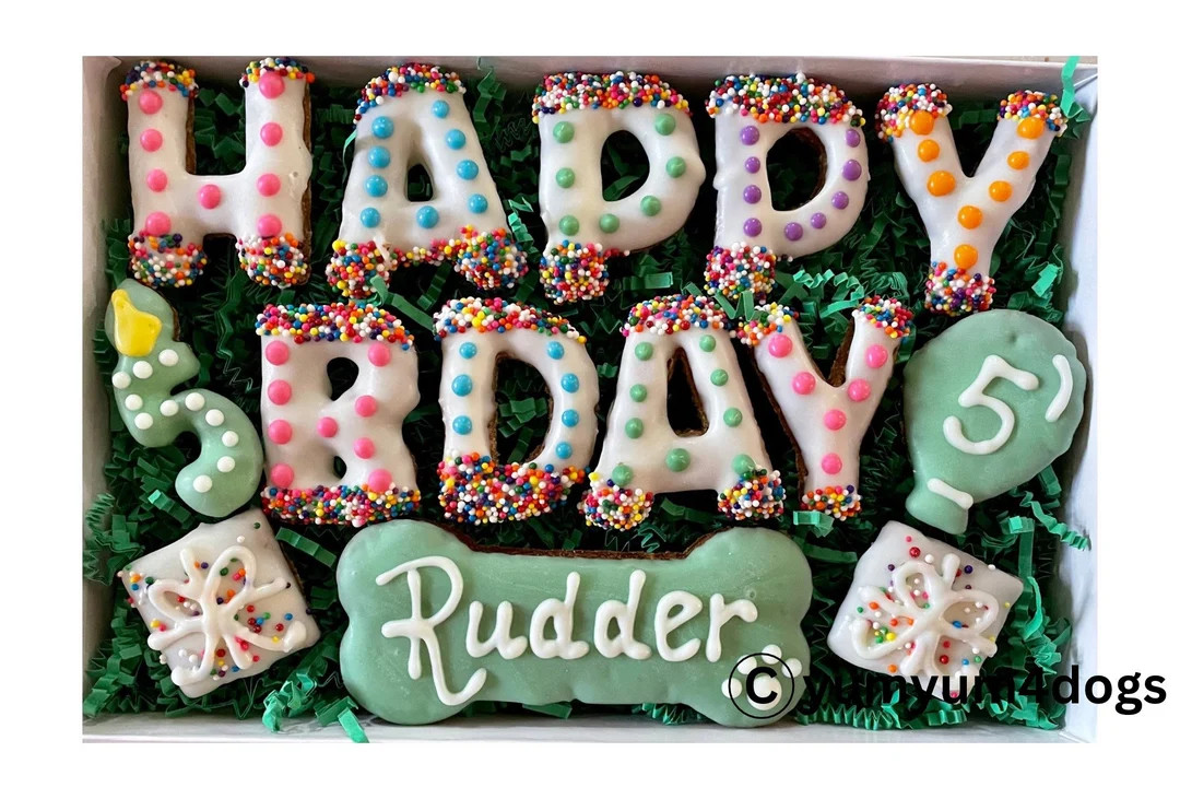 XL Polka Dot Happy Birthday Dog Treat PERSONALIZED Gift Box / Happy Barkday Treats / Gotcha Day T... | Etsy (US)